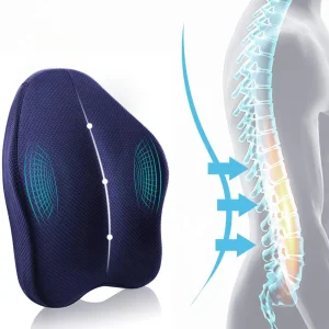 Powsure Memory Foam Back Cushion Pillow