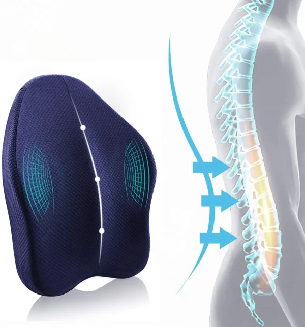 Powsure Memory Foam Back Cushion Pillow